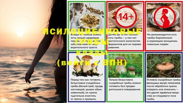 дмт Елизово