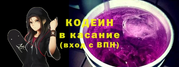 дмт Елизово
