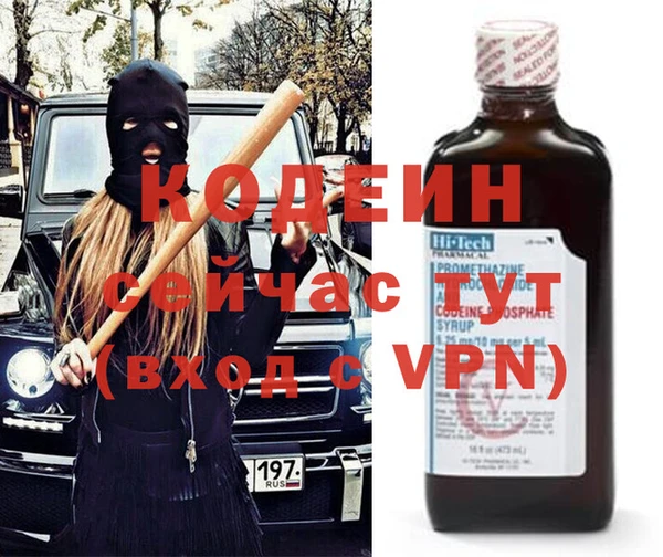 дмт Елизово