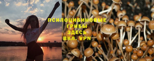 кокаин премиум Заводоуковск