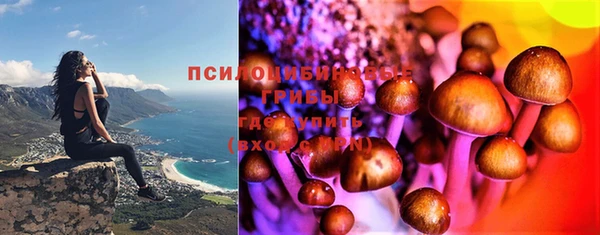 кристаллы Ельня