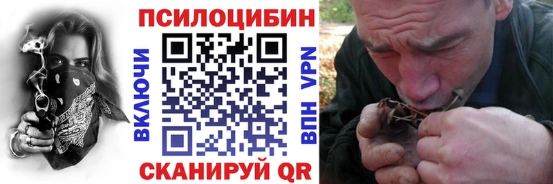 OMG ссылка  Задонск  Галлюциногенные грибы прущие грибы  продажа наркотиков 